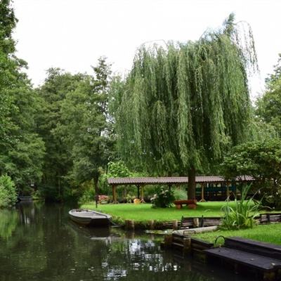 米乐app下载官网