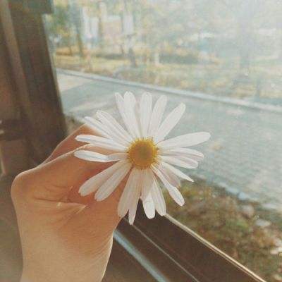 xk星空网官网登录入口