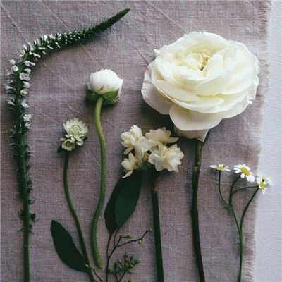 NG体育·(南宫)官方网站