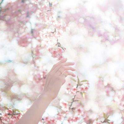 xk星空网官网登录入口